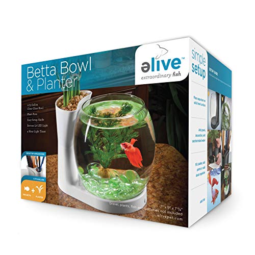 Elive Betta Fish Bowl / Betta Fish Tank with Planter, Small 0.75 Gallon Aquarium, LED Light Timer, White