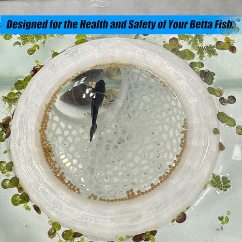 Aquarium Floating Betta Fish Skins, Betta or Shrimp Feeder, Cave and Hammock, Small Fish Feeding Rings, Aquarium Hiding Feeding Decorative Accessories (Translucent Color) - color: Translucent color