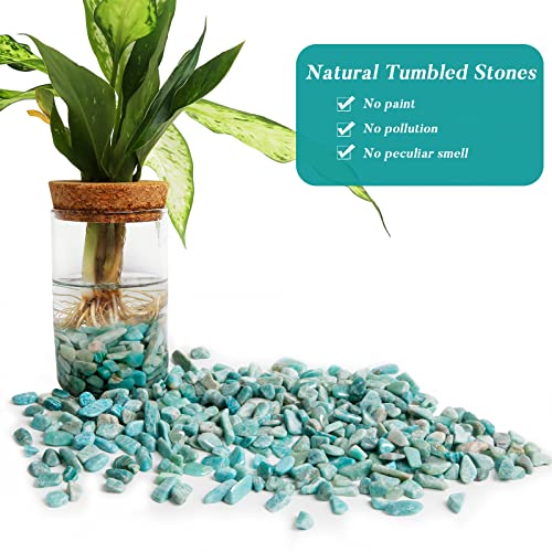 QICQDRAM Natural Green Amazonite Crystals Bulk 0.9 Lb/405g Small Tumbled Chips Crystal Stone Decorative Pebbles for Home Decoration & Fish Turtle Tank, Vase Filler, Plants Decor - color: Amazonite