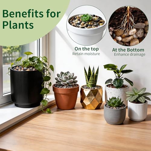 Small Rocks for Plants，3/8" Small Pebbles，1lbs Small River Rocks Decorative Pea Gravel，Pebbles for Indoor Plants, Vases, Bamboo, Succulent, Terrarium, Crafts, Cactus - color: Natural Mixed Color, size: 1 LB