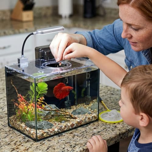 2 Gallon Glass Fish Tank with Filter LED Light Complete Aquarium Starter Kit for Betta, Shrimp, Nano Fish Rimless Small Aquarium with Everything Included - size: 2 Gallon