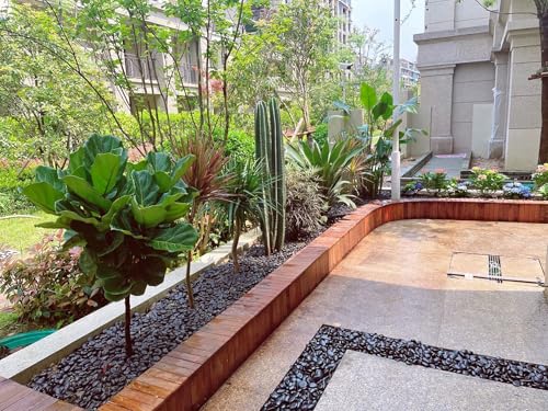 FANTIAN 10 lbs Black Pebbles for Plants, 0.8-1.2 Inch Small Polished Stones. Decorative River Rocks for Outdoor Landscaping Vase Aquarium and Garden - size: 0.8-1.2 inch, style: 10.0 Pounds