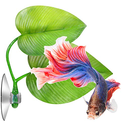 Boao 4 Pieces Betta Fish Tank Accessories Betta Leaf Hammock Pad Simulating The Natural Habitat for Tank Aquarium Spawning Grounds Breeding Resting Bed(Double Leaf) - style: Double Leaf