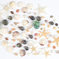 Fangoo 1500 Pieces Small Sea Shells Conch Natural Starfish Mixed Agate Pebble Stone for DIY Crafts Tiny Seashells for Vase Filler Candle Making Home Decor Wedding Beach Ocean Party Decorations