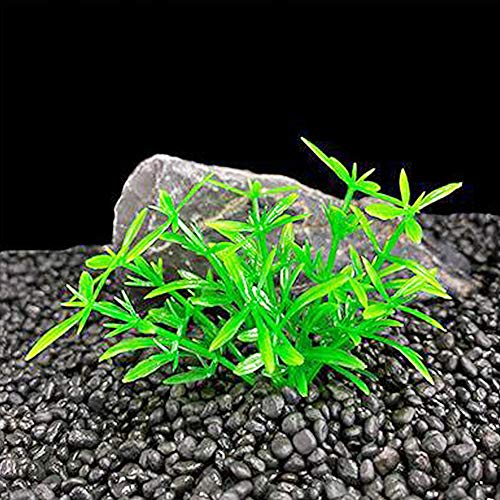 Aquarium Plant Fish Tank Decoration 20 Pieces Small/1" Tall Plastic Artificial Plant Goldfish Hidden Mini Grass Set (Green-A) - color: Green-a