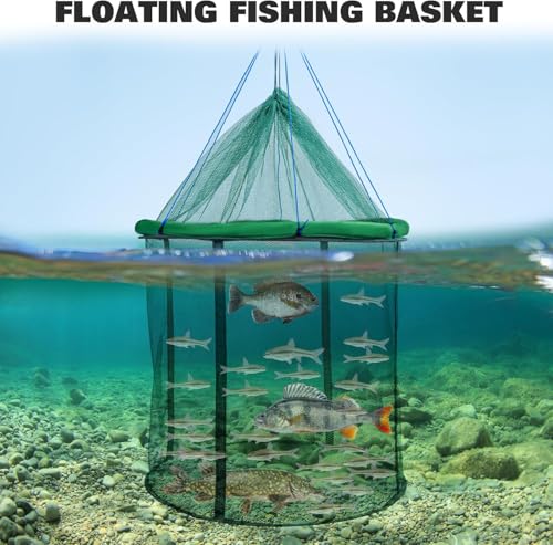 QualyQualy Floating Fish Basket 41/73 Gallons Extra Large for Live Caught, Fully Foldable Fishing Net Holder for Bait Live Well Collapsible Mesh Fishing Holder Cage - color: Green, size: 31.5*31.5*21.6IN (73 GAL)