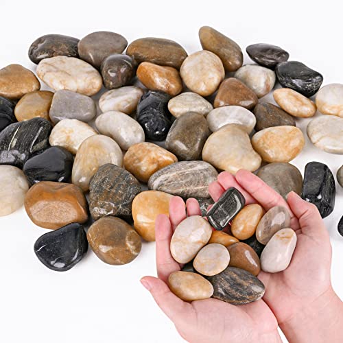 Pebbles for Indoor Plants 2.5 LB Small River Rocks 1"-1.5" Polished Decorative Stones Smooth Aquarium Gravel for Fish Tank Vases Planters Outdoor Landscaping Garden (40oz) - size: 2.5 LB (40oz), style: Natural