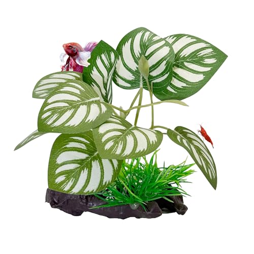 CTWPets Betta Driftwood Decor – Soft Silk Aquarium Plant for Betta Fish, Shrimp, and Tropical Tanks – Safe, Vibrant Aquascape Decoration (Split Leaf) - color: Split Leaf
