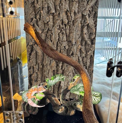 PINVNBY Branches for Reptiles,Crested Gecko Resin Climbing Tree Branch with Hideout Cave Bearded Dragon Tank Accessories Lizard Terrarium Habitat Plant Decorations for Snake Gecko Spider Frog(Green) - color: 【green】