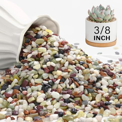 3 lbs Pebbles for Indoor Plants, 3/8 Inch Pea Gravel for Fish Tank, Polished Decorative Rocks for Succulent, Natural River Stones for Vases, Cactus, Landscaping, Bird Bath, Aquarium, Colorful - color: Colorful, size: 3 Lb