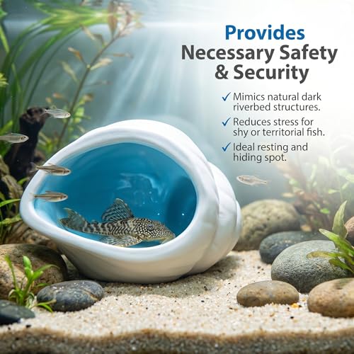 Ceramic Aquarium Cave for Betta Fish Tank Decor, White Conch Shell Hideout, Smooth Glaze Fish Tank Accessories & Decorations for Betta Fish, Shrimp, Pleco, Dwarf Cichlid, 5.91 x 3.74 x 3.5in - color: Conch White