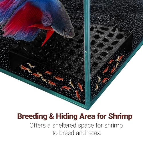 2-Pack Black Shrimp Hides for Aquarium - Stealth Cave with Multi-Sized Holes, 180° Viewing & Stable Hides for Cherry/Dwarf Shrimp - color: Black