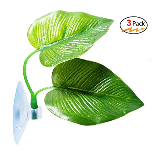 CousDUoBe 3 Pack Betta Fish Leaf Pad Improves Betta's Health by Simulating The Natural Habitat - Natural, Organic, Comfortable Rest Area for Fish Aquarium Ornaments - size: 3 Pack