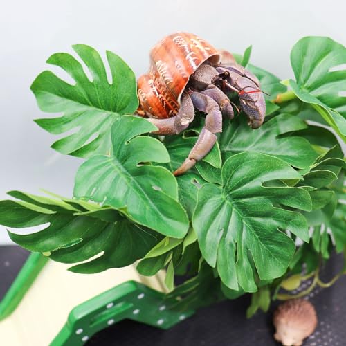 Hermit Crab Climbing Toy, Reptile Plants for Aquarium, Hanging Plastic Simulated Turtle Leaf Plant with Suction Cup, Reptile Tank Habitat Decor Accessories for Lizards Geckos Bearded Dragons Snake