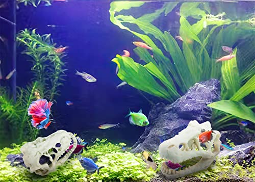 2Pcs Aquarium Decoration - Small Resin Dinosaur Skull Skeleton Fish Tank Cave Pet Reptile House Decoration