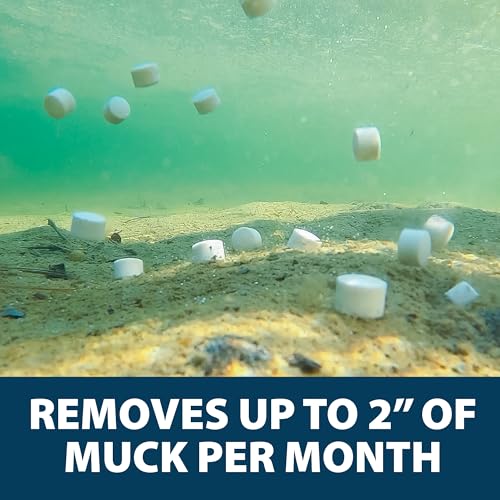Airmax MuckAway, Natural Pond Muck Remover, Cleans & Clears Away Muck & Sludge, Easy to Use Bacteria & Enzyme Tablets, Safe for The Environment, Treats up to 1 Acre, 3 Month Supply, 36lbs - size: 72 Scoops