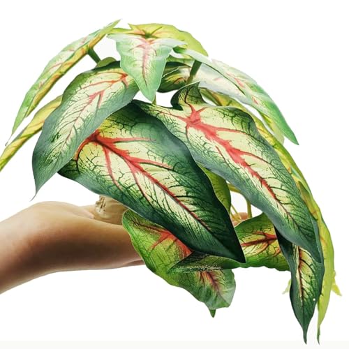 Reptile Plants for Terrarium Decor,Amphibian Habitat Decor, Bearded Dragon Tank Accessories,Artificial Plants for Gecko Chameleon Snake Tortoise with Base (Alocasia odora) - color: Alocasia Odora
