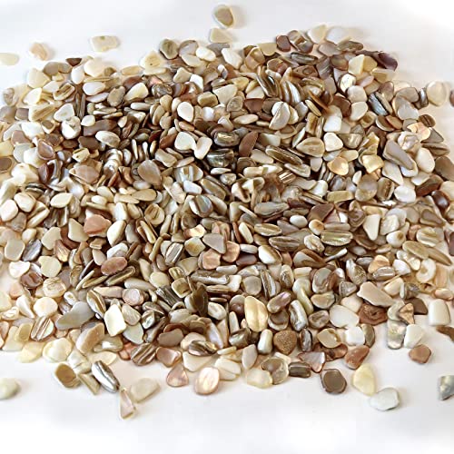 QICQDRAM Crushed Shells for Crafts About 2LB (900g/31.74oz) Small Natural Crushed Shells Bulk for Crafts DIY Beaching Wedding Decoration Vase Fillers - color: Natural Color, size: 2LB (900g/31.74oz)
