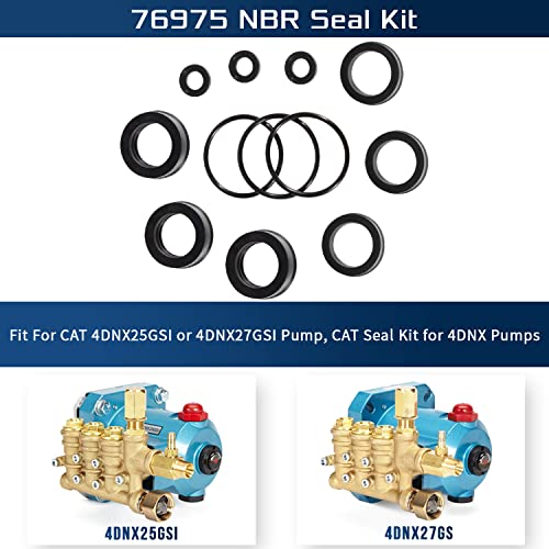 Sunluway 76975 Seal Kit CAT Seal Kit for 4DNX Pumps Fits for Replacement CAT 4DNX25GSI & 4DNX27GSI Pump