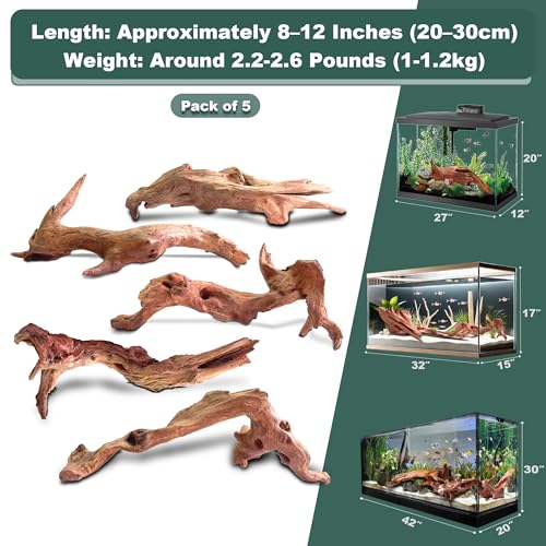 Natural Wood Driftwood for Aquarium Fish Tank Decor,Assorted Driftwood Trunk Branch for Reptile Tank Decor (MOP-ZYM Driftwood Branch (8 to12 Inch)-Pack of 5) - color: MOP-ZYM Driftwood Branch (8 to12 Inch)-Pack of 5
