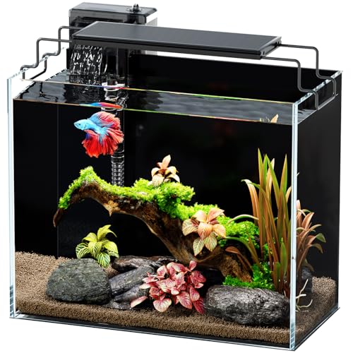 3 Gallon Fish Tank Aquarium Kit with HOB Filter, LED Light with Timer, Lid, Siphon Vacuum Cleaner, Self Cleaning Glass Rimless Betta Tank - size: 3 Gallon