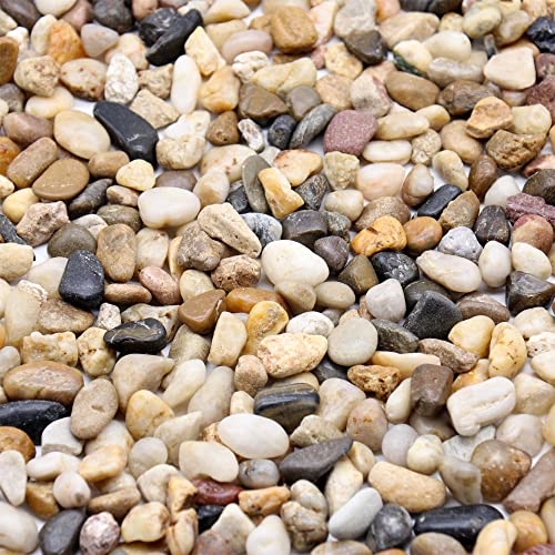 Rocks for Plants. Mixed Color Decorative Pebbles. 1/5 Inch 2 lbs. for Garden, Landscaping, Indoor, Vase fillers, Crafting, Succulents, pots, Plants (Mini (0.2 Inch), Mixed Color, 2) - color: MIXED COLOR, size: Mini (0.2 Inch)