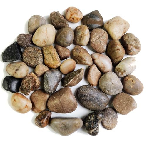HappyFiller Decorative Natural Pebbles Polished Rocks Stones Mixed Color for Aquarium Gravel,Fish Turtle Tank,Outdoor Indoor Plants Top Dressing,Garden Landscaping,Home Vase Filler Decoration,2 LB - color: Mixed