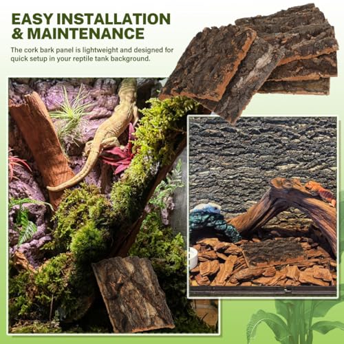 SOIMISS 5 Pcs Reptile Cork Bark Background for Terrarium Natural Tree Bark Hideout and Climbing Wall Vivarium Decor for Gecko Bearded Dragon Turtle and Lizard Tanks