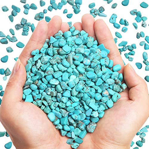 QICQDRAM Howlite Turquoise Small Tumbled Chips 0.9 Lb/405g Crystal Stone Decorative Pebbles for Home Decoration & Fish Turtle Tank, Vase Filler, Plants Decor - color: Turquoise