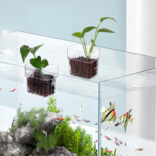 NOLITOY 4pcs Aquarium Holders Transparent Aquatic Cups for Fish Tanks Hanging Planter for Plants Easy Installation Compatibility Aquarium Accessories