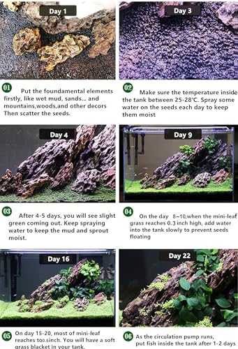 4 Pack Aquarium Plant S.e.e.ds, no Artificial Plastic Plant, Fish Tank Live Grass for All substrates (0.36ozTiny+0.36oz Long+0.35ozHeart-Shaped 0.35oz Big Dual) LZBS1