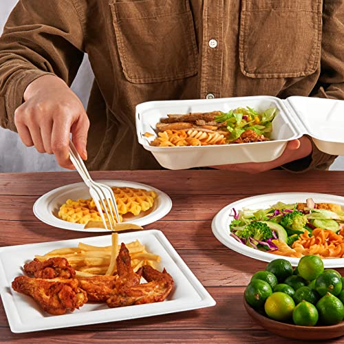 ECOLipak 50 Pack Clamshell Take Out Food Containers, 100% Compostable Disposable To Go Containers, 8X8 inch Heavy-Duty To Go Boxes for Food - color: 8*8 in, 1-Compartment,50Pack
