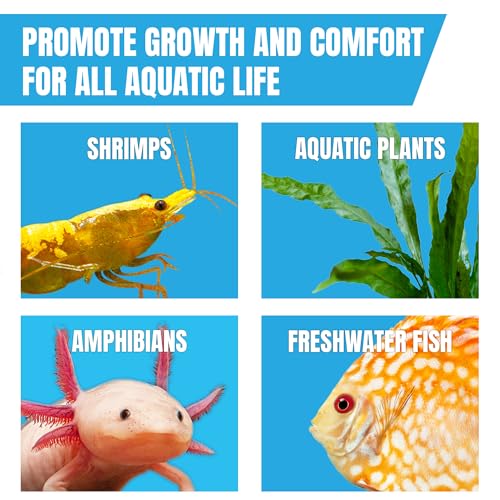 JOR 25 Pack Large Catappa Indian Almond Leaves for Bettas, 7-9 Inches, Effortless Water Conditioning, Great Values, Help Bettas and Tropical Fish Thrive