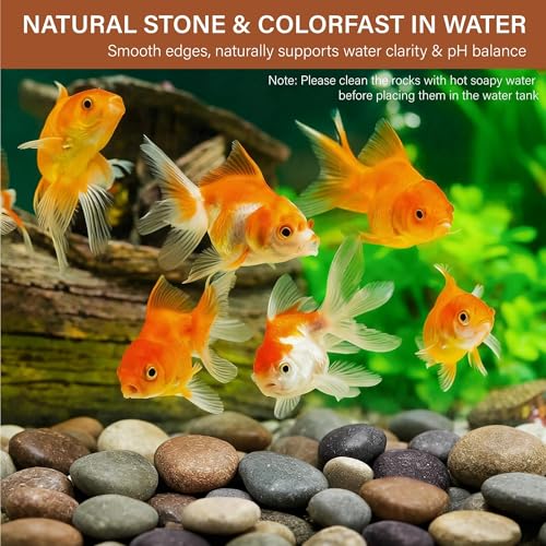 NUPICK 30lb Mexican Beach Pebbles, 2-3" Large River Rocks for Landscaping, Smooth Garden Rocks for Outdoor Paving, Natural Pebbles for Indoor Plants, Decorative Stones for Planters, Fish Tank, Fountai - color: Mixed, size: 2-3", 30lb