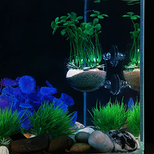 CHENGU 6 Pieces Aquatic Plant Pot with Hole Glass Aquarium Plant Cup Aquatic Planter with Suction Cups Plant Holder Aquarium Decoration for Aquarium Shrimp Fish Live Plants, 3 Styles