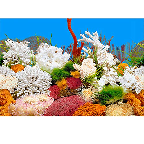 ELEBOX New 15.7" x 40" Fish Tank Background 2 Sided River Bed & Lake Background Aquarium - color: Type F