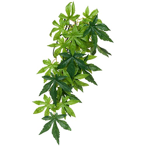 Hagen Exo Terra Silk Terrarium Plant, Small, Abutilon (Pack of 2) - size: Small (Pack of 2)