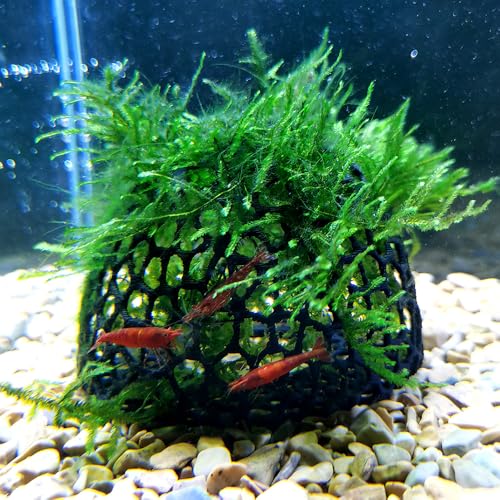 Decorative Shelter Domes, Aquarium Hideaway for Small Fish and Shrimp to Breed, Play and Rest, Safe and Non-Toxic 3D Printed Fish Tank Decorations (Yellow) - color: Yellow