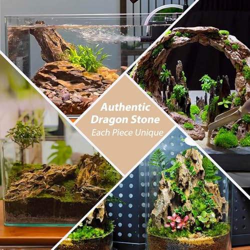 Aquarium Rocks Dragon Stone Natural Hardscape Stone for Aquariums, Fish Tanks, Bonsai, Terrariums, Wargaming Dioramas, Indoor or Outdoor Gardens-5lb(2-6 Inch) - size: 5Lb (2-6 inch)