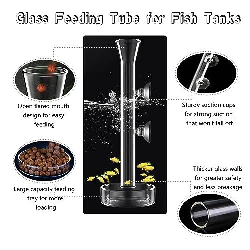 Fish Feeding Ring, Shrimp Feeding Dish, and Feed Measuring Spoon - Ideal Betta Fish Toys and Aquarium Accessories with Coral Feeder and Shrimp Tube