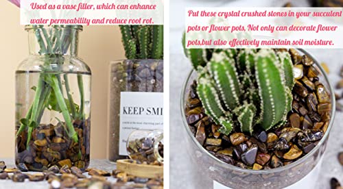 Tiger Eyes Aquarium Gravel Rocks Natural Tumbled Healing Crystal Chips Bulk Gemstones Tumbled Crushed Stones for Fountain Vase Filler Planters Decorative Fish Tank Potted Reiki Energy Balancing 0.44lb - color: Tiger's Eyes, size: 0.44 Pound