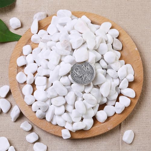 1 Lb/460g White Stones Decorative Pebble Rock Sand for Aquarium/Fish Turtle Tank/Vase Filler/Succulent Plants Decoration (Fill 1 Cup) - color: White, size: 1 Pound