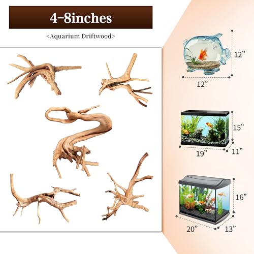 majoywoo Natural Driftwood for Aquarium Decor Fish Tank Decorations, Assorted Spider Wood Branch 4-8" 5 Pcs, Reptile Decor - size: Spiderwood 4 to 8 Inch(Pack of 5)