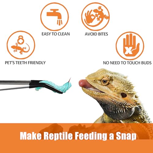 2Pcs 6 Inch Reptile Feeding Tongs with Soft Tips, Bearded Dragon Tank Accessories, Food Tweezer for Leopard Gecko, Crested Gecko, Jumping Spider, Frog, Snake, Chameleon and Red-eared Slider