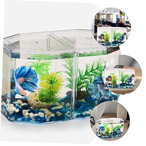 POPETPOP Transparent Betta Fish Isolation Box Professional Aquarium Breeding Tank for Fish Double Space Structure for Breeding and Isolation Home Aquariums
