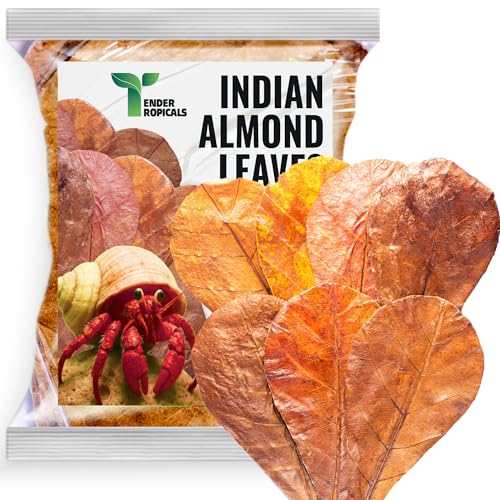 Hermit Crab Tank Accessories Indian Almond Leaves 6 Inch – Pack of 10 Natural Catappa Leaves for Aquarium & Reptile Tanks – Safe for Betta Fish, Shrimp, Snails & Amphibians