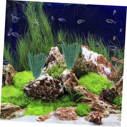 BESPORTBLE 10pcs Fish Breeding Spawning Mops Aquarium Plants for Fish Hiding and Climbing Natural Habitat Simulation Decorative Green Grass Shrimp Accessories