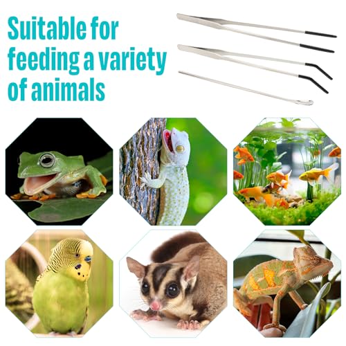 3 Pcs Stainless Steel Reptile Feeding Tool Set with 2 Rubber Tipped Tongs and 1 Crested Gecko Feeding Spoon, Crested Gecko Tank Accessories for Geckos, Lizards, Bearded Dragons, and Small Animals