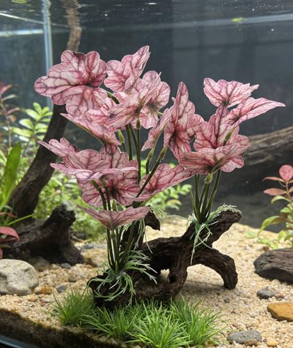 M2cbridge Fish Tank Plastic Soft Grass Artificial Betta Water Plants Decoration Goldfish Hide 2pcs (Light Purple) - color: Light Purple