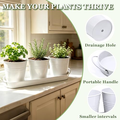 TCBWFY Indoor Herb Garden Planter Set - 3 Pack 4.7" White Metal Plant Pots with Drainage Holes & Removable Tray - Windowsill Kitchen Counter Balcony Office Garden - color: White